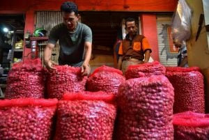 Bawang Merah Parepare Bakal ke Pasar Nasional