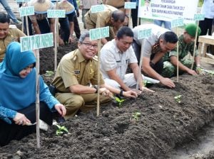 Walikota Parepare Apresiasi Gerakan Tanam Cabe