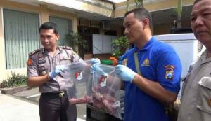 Dua Penjual Daging Celeng Akhirnya Divonis