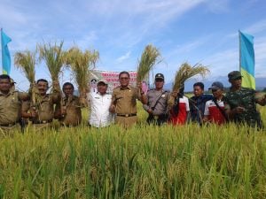 Pemda Kembangkan Lahan Pertanian Bebas Kimia