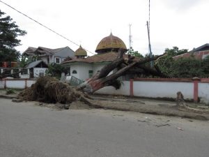 Pohon Tumbang Timpa Masjid SMPN 2 Kolaka