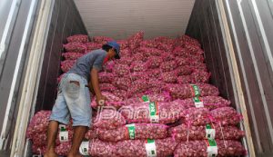 Harga Bawang Putih Melonjak Tajam, KPPU Segera Gelar Investigasi