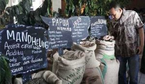 Penuhi Pasar Domestik, Petani Hilirisasi Produk Kopi