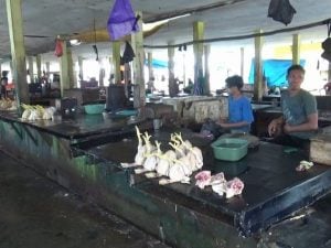 Jelang Ramadhan, Harga Ayam Potong Naik