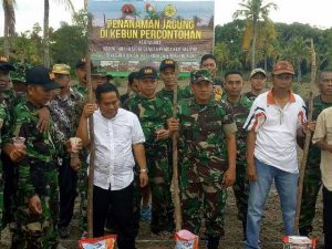 Motivasi Petani, Kodim dan Pemkab Tanam Jagung