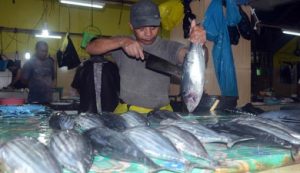 Ikan Asal Luwuk Sudah Bisa Diekspor via Udara