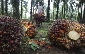 Jokowi Singgung Kampanye Hitam Produk