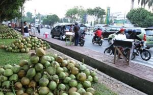 Penjual Kelapa Muda Membludak di Kolaka