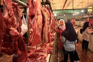 Daging Impor Marak, Pemotongan Sapi Menurun