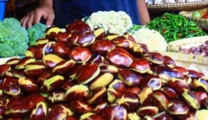 Jengkol Mahal, Dua Kali Harga Daging Ayam