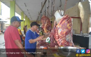 Harga Daging Sapi Bakal Naik Lagi