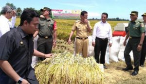 Kementan, Bulog, dan TNI Gelar Rakorgab untuk Akselerasi Serap Gabah