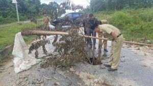 Bupati Konsel Tinjau Langsung Jalan Rusak