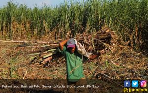 Kementan : Program Pemerintah Dorong Petani Lebih Sejahtera