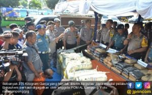 Anggota TNI AL Gagalkan Penyelundupan 375 Kilogram Ganja