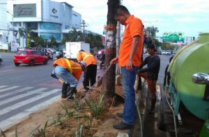 Kecamatan Panakkukang Benahi Taman Median Jalan AP Pettarani