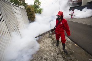 Khawatir DBD, Warga Minta Dinkes Lakukan Fogging