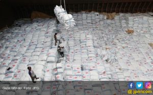 Harga Lelang Gula Rendah, APTRI Usul Kenaikan HPP dan HET