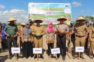 Pemkab Konsel Lakukan Pencanangan Gerakan Tanam Jagung