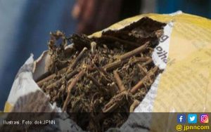 Siswa Jadi Kurir 84 Kg Ganja untuk Biayai Pengobatan Ayahnya