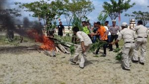 Cegah Kebakaran Hutan, Polres Kolut Bentuk Karhutla