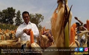 Dukung Penangkar Lokal, Kementan: Tak Ada Impor Benih Jagung