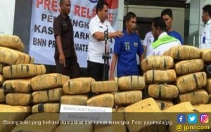 Kakek 63 Tahun Simpan 222 Kilogram Ganja di Rumahnya