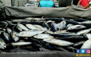 Nilai Ekspor Perikanan Indonesia Naik 8,12 Persen
