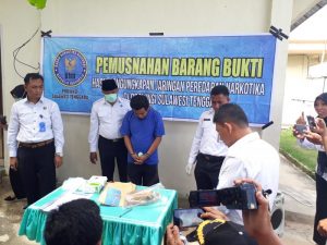 BNNP Sultra Musnakan Ganja Seberat 810 Gram, Tersangaka Terancam Hukuman Seumur Hidup