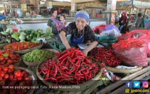 Pedas, Harga Cabai Naik Tiga Kali Lipat