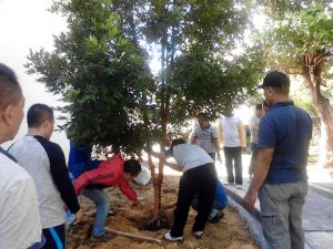 Ciptakan Suasana Alami di Lingkungan Sekretariat DPRD Sultra, Staf dan ASN Tanam Pohon Bunga