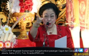 Megawati Prioritaskan Bertemu Zulkifli