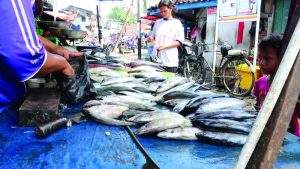 Harga Ikan Melebihi Daging