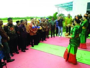 Teguh : Baubau Kaya SDA