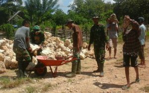 Atasi Banjir di Desa Waulai, TNI Bangun Bronjong