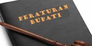 Aplikasikan di Masyarakat, Dua Perda Adat Butuh Perbup