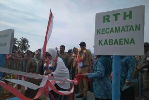 Andi Nirwana Tinjau RTH Kecamatan