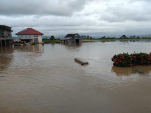 Ribuan Sawah di Koltim Terendam Banjir
