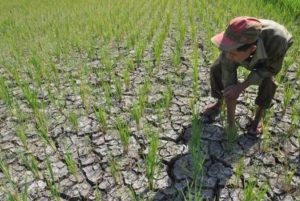 Cegah Kekeringan, Petani Diberikan Bantuan Pompa Air