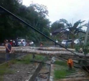 Pohon Tumbang Menimpa Kios Warga Lelekaa