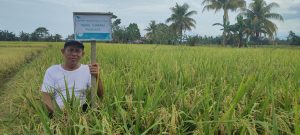 Melihat Program SRI PT Vale Indonesia di Blok Pomalaa