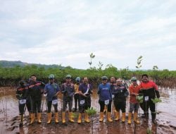 PT Antam Kolaka Sambut Hari Lingkungan Hidup Sedunia: Tanam Ratusan Pohon, dari Lokasi IUP Hingga Pesisir Pantai