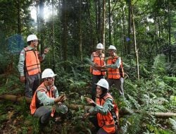 Komitmen Pada Keberlanjutan, PT Vale Hijaukan Area Bekas Tambang