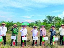 Penanaman Jagung di Koltim Dukung Program Ketahanan Pangan Nasional