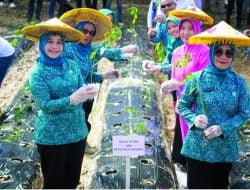 Tingkatkan Ketahanan Pangan dan Kendalikan Inflasi, Gerakan Tanam Cabai Digelar di Desa Tumbudadio